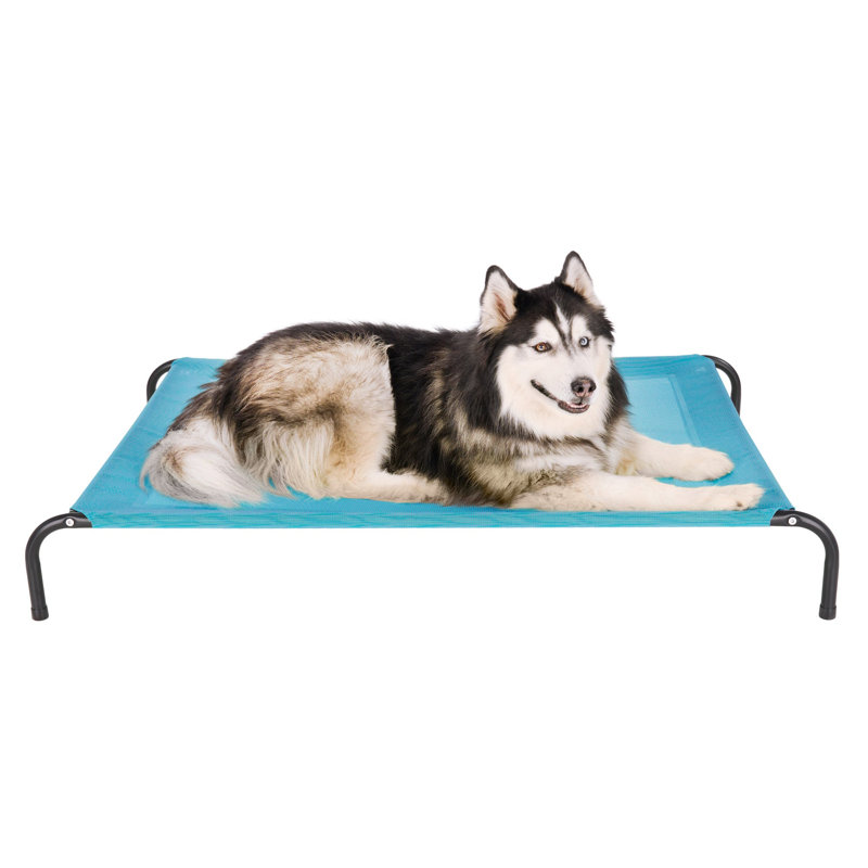 Elevated Cot Pet Bed, Blue, 8" H x 36" W x 54.5" D