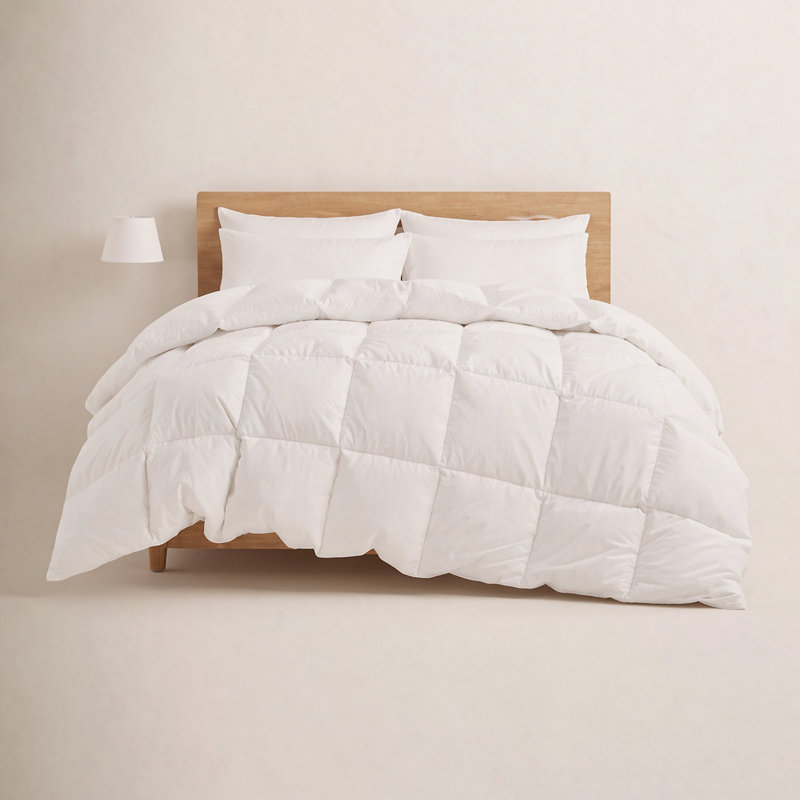 Couette en duvet d'oie toutes saisons, édredon très grand en fibres, Très grand lit