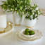 Ceramic Platter