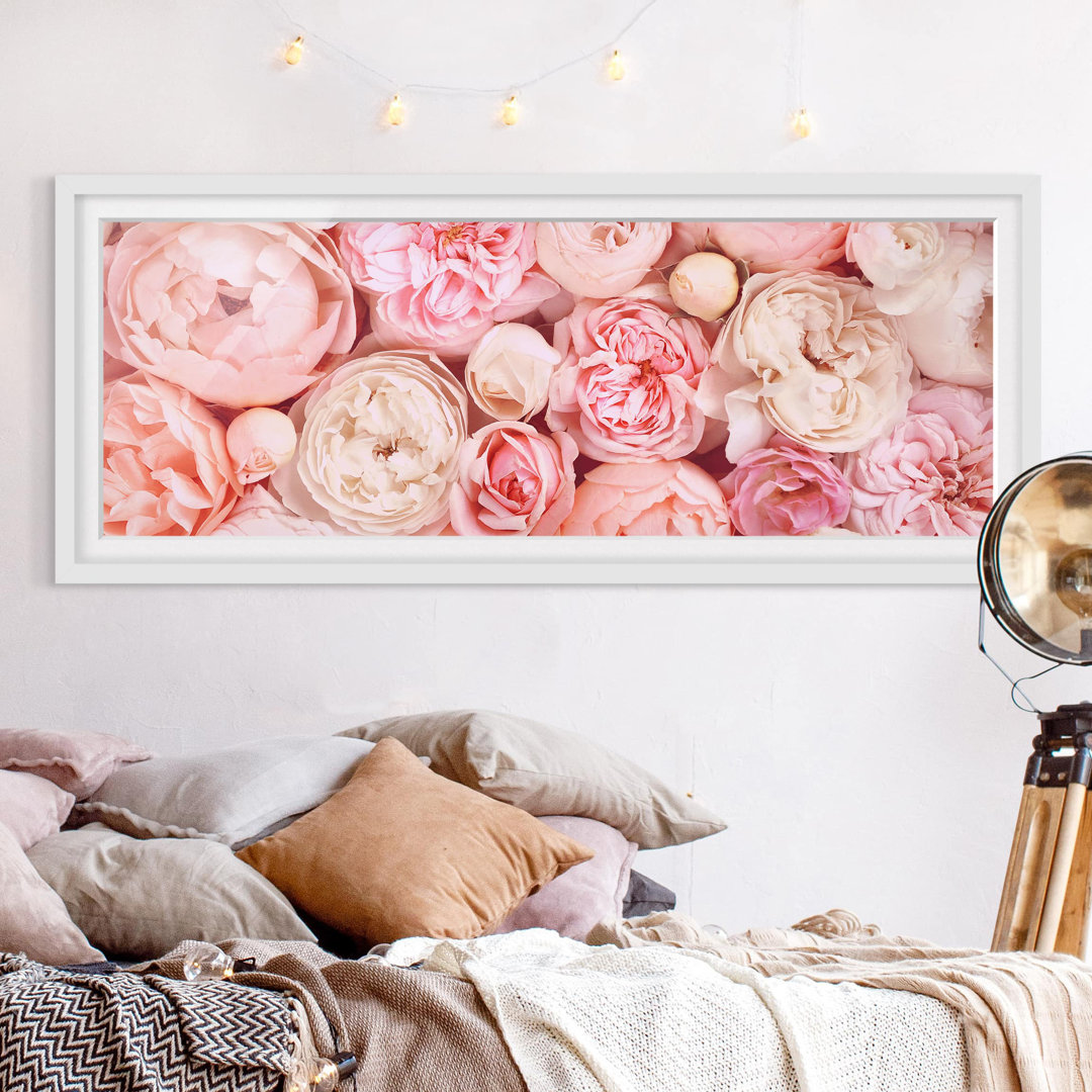 Gerahmter Grafikdruck Roses Coral Shabby