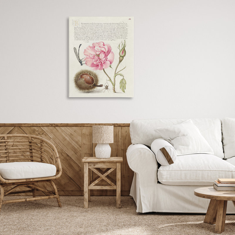 Art antique par Joris Hoefnagel, H 40 po x l 30 po