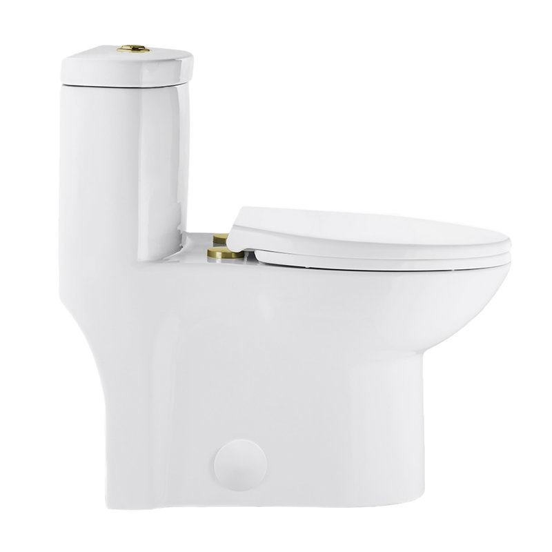 Sublime One Piece Elongated Toilet Dual Flush, Gold/White