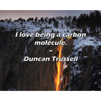 Duncan Trussell Quote: I love being a carbon molecule.