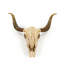 Bull Skull Handmade Resin Wall Decor