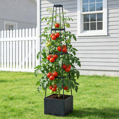Pot Planter