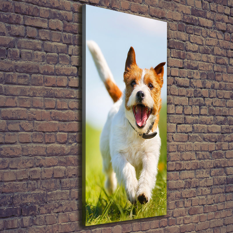 Dog Jack Russell - Wrapped Canvas Print