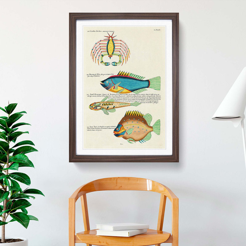 East Indies Fish & Crab Illustrations L by Louis Renard - Picture Frame Painting Print, 65cm H x 48cm W x 2cm D
