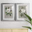 Magnolia botanique - ensemble de 2 reproductions d'art-512224790-512224786-512224778