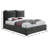 Misha Fabric Bed-63426729-63426731