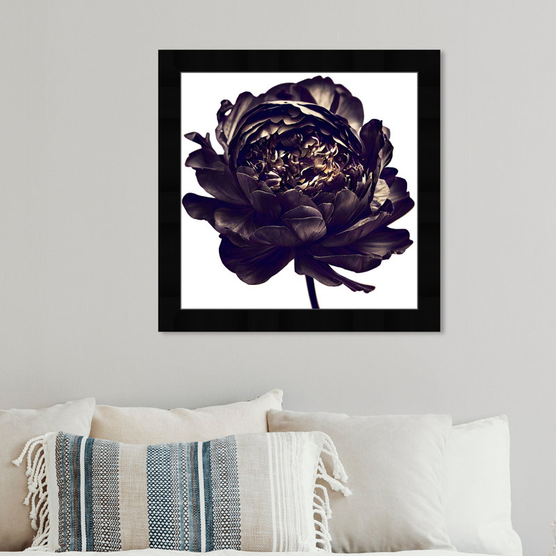 Pivoine noire - cadre photo, Cadre noir, H 14 po x l 14 po