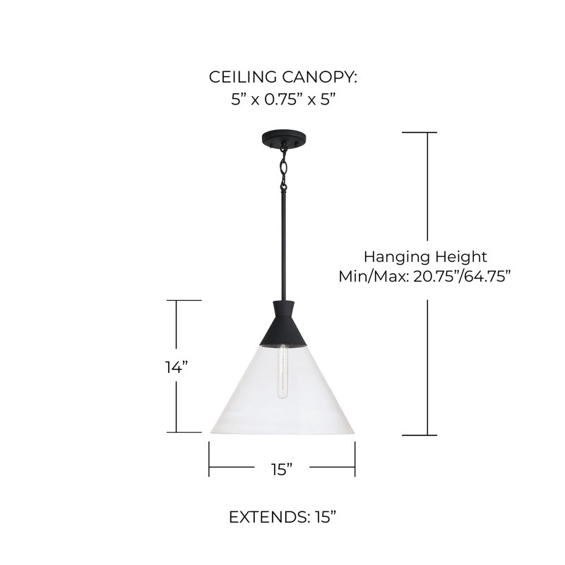 Luminaire suspendu conique à 1 lumière Chassica, Noir