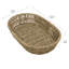 World Menagerie Box-41407552