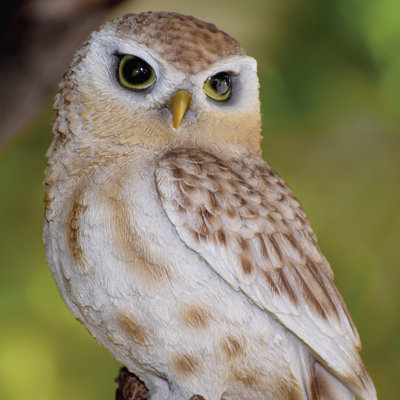 Owl on Stump Statue