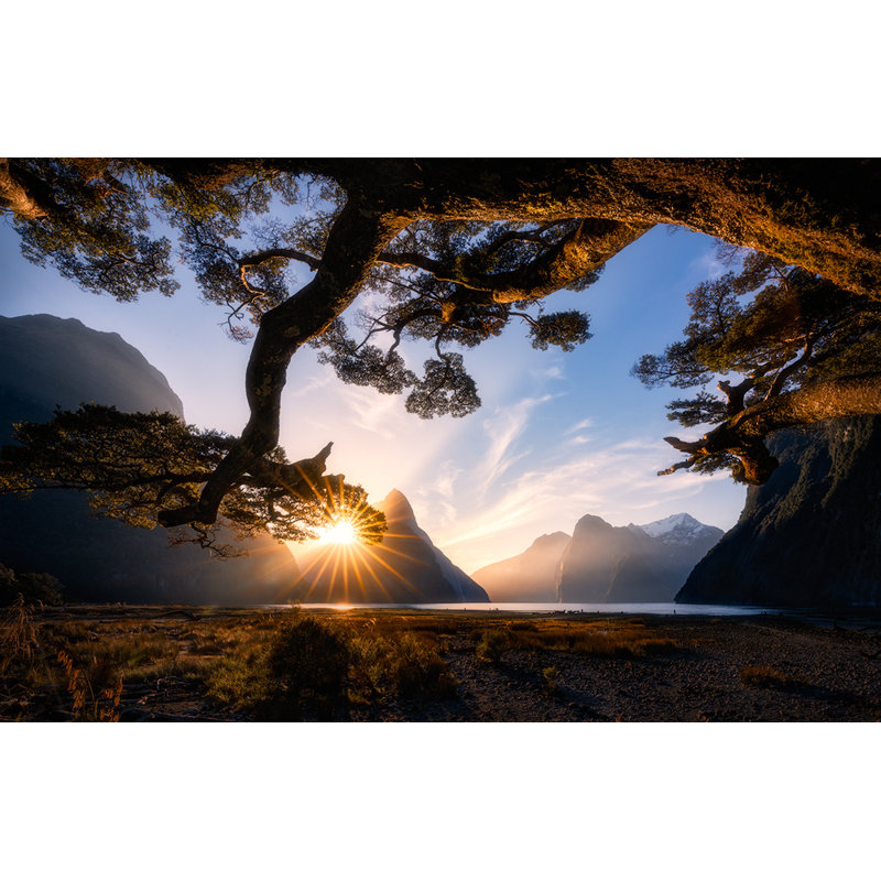 Wrapped Canvas Print, 50.8 cm H x 76.2 cm W