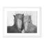 Icelandic Pair Print by Amy Bautz-48618456