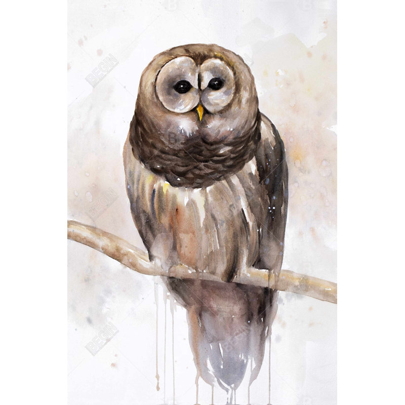 Barred owl Bath Mat with Non-Slip Backing - Quick Dry Memory Foam Bathroom Rug - Absorbent - Modern Plush Spa-Style - Machine Washable
