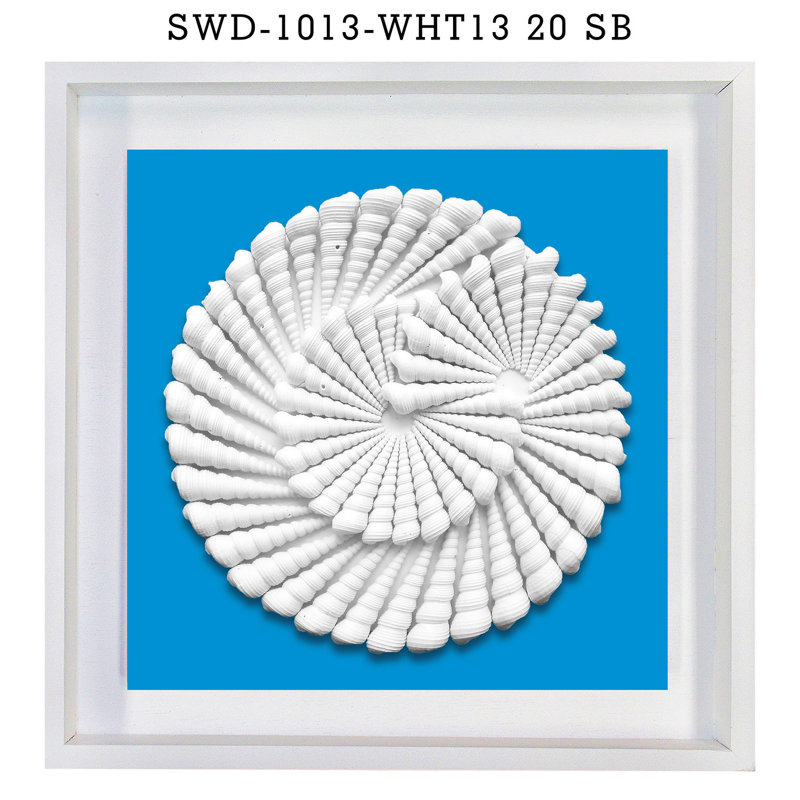 Finished Art-Swirl Shell Design in 20 x 20 Floating Shadow Box with Blue Background, Blue/White