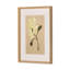 Blooms I Triptych By Brittney Shulz-1713779345