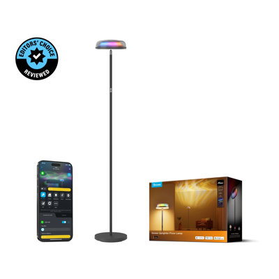Lampe sur pied Govee
