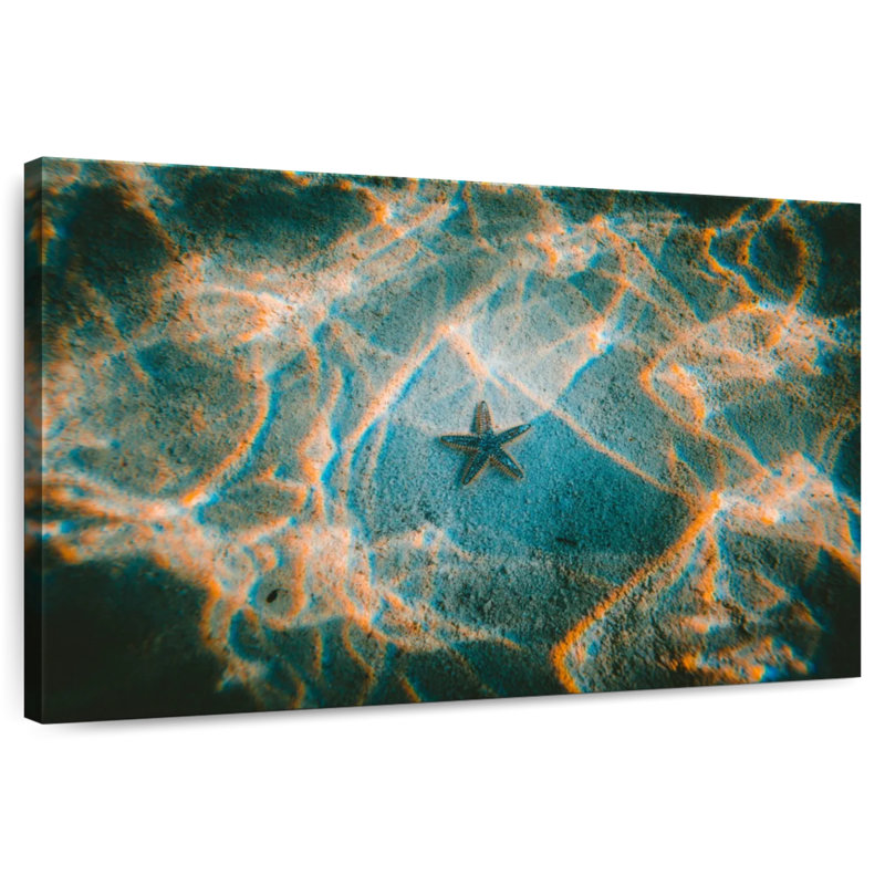 Crowle Sandy Underwater Starfish, H 20 po x l 30 po