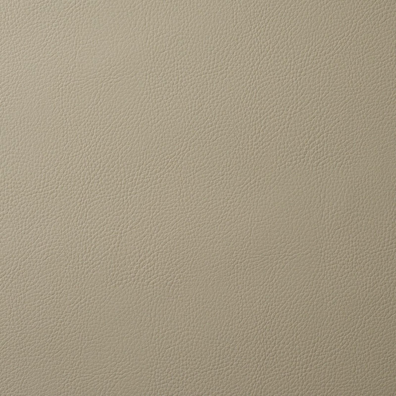 Tissu intérieur / extérieur en cuir végétalien, Étain