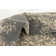 Tobitha Oriental Indoor Rug