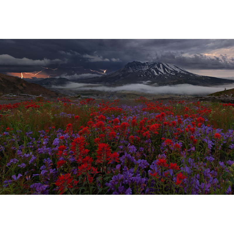 Wrapped Canvas Print, 76.2 cm H x 50.8 cm W