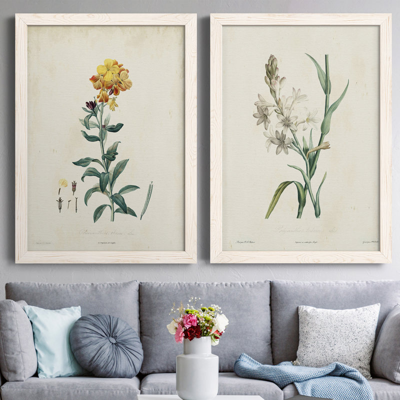 Toile encadrée de qualité supérieure Traditional Botanical III - prête à être accrochée, Toile avec cadre blanc