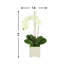 Orchid Floral Arrangement in Pot