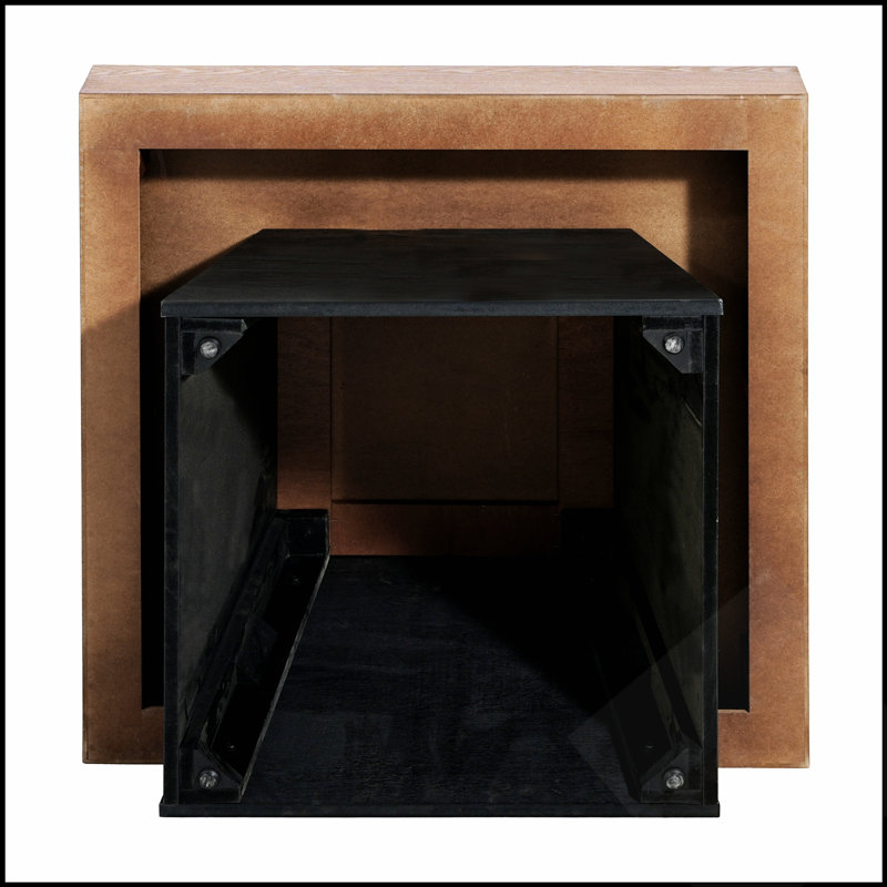 Table basse carrée moderne avec dessus et piètement en bois veiné, style ferme du milieu du siècle, idéale comme élément central de salon.