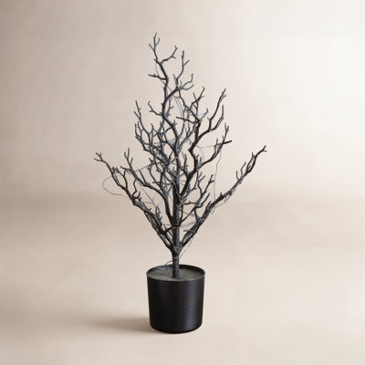 5' Pre-Lit Halloween Spooky Twig Tree
