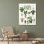 «Bay, Home ™», toile tendue sur toile de la galerie Gigi, «Vintage House Plants»-2054676512
