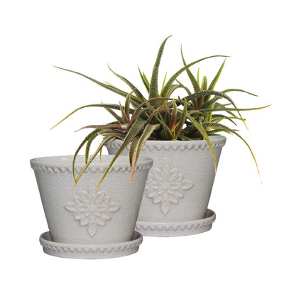 Lorna Ceramic Pot Planter with Saucer