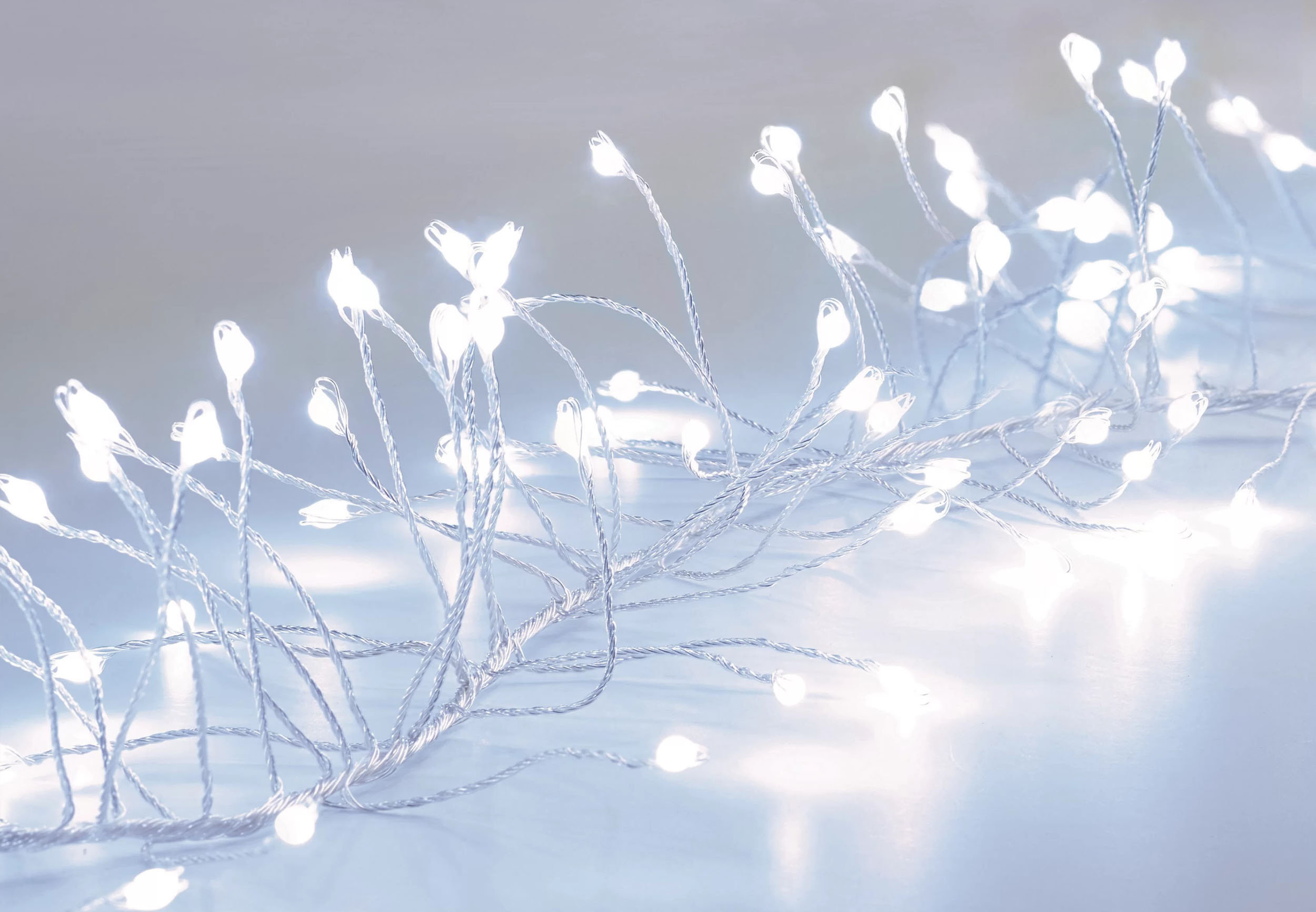 White String Color Lights The Seasonal Aisle 860 Cool White String Lights Type | Wayfair.co.uk