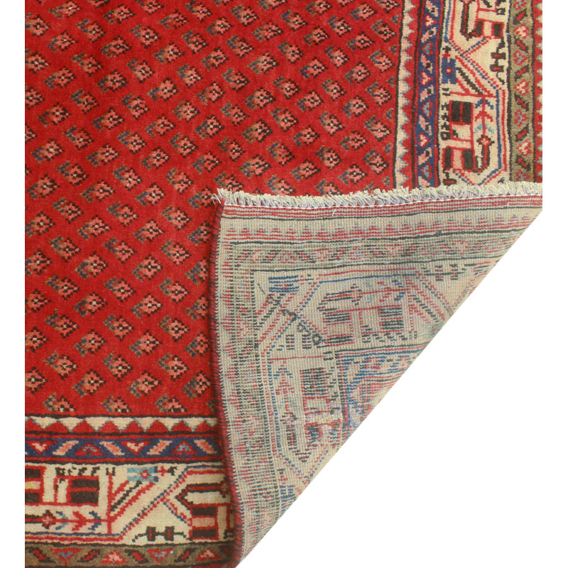 Tapis rouge Fine Fine