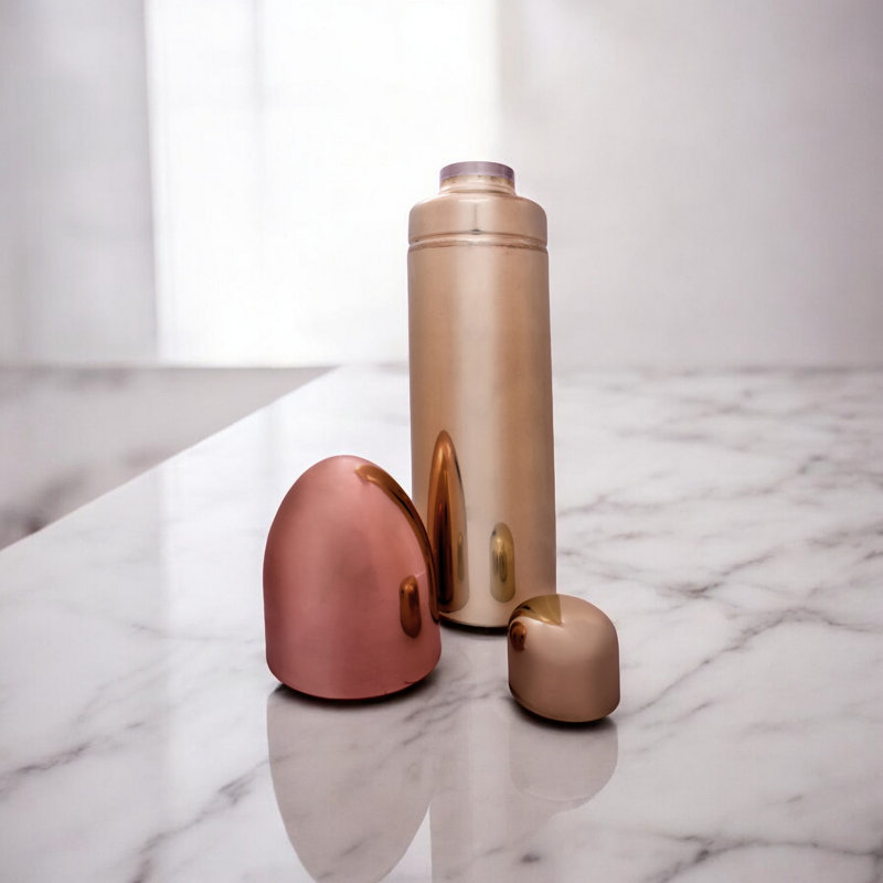 Stainless Steel Shaker