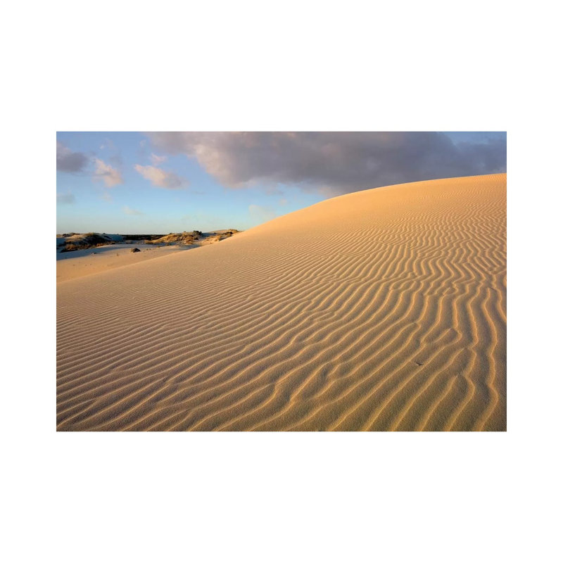 Sand Dune, Monahans Sandhills State Park, Texas 1 Piece Wall Art on Canvas, 45.72cm H x 66.04cm W