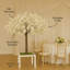 Maple Arrangement-74802171