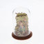 Figurines & Sculptures
