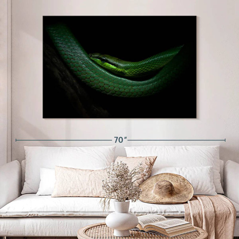Brampt Mamba, 34" H x 51" W