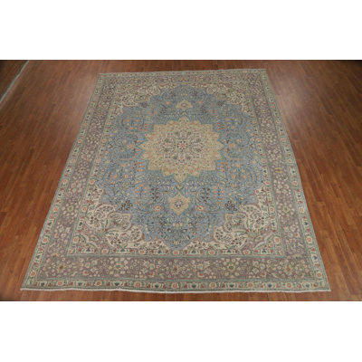 Light Blue Floral  Traditional Area Rug 10x12