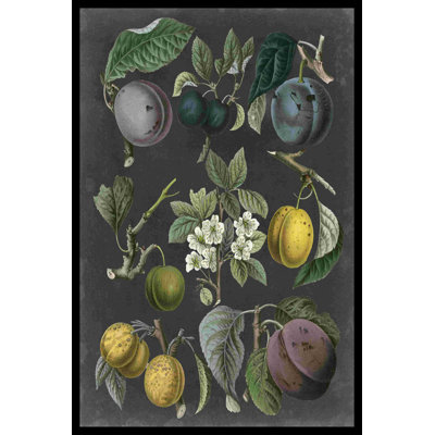 Orchard Variétés IV