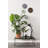 Single Coffee Table-49384527