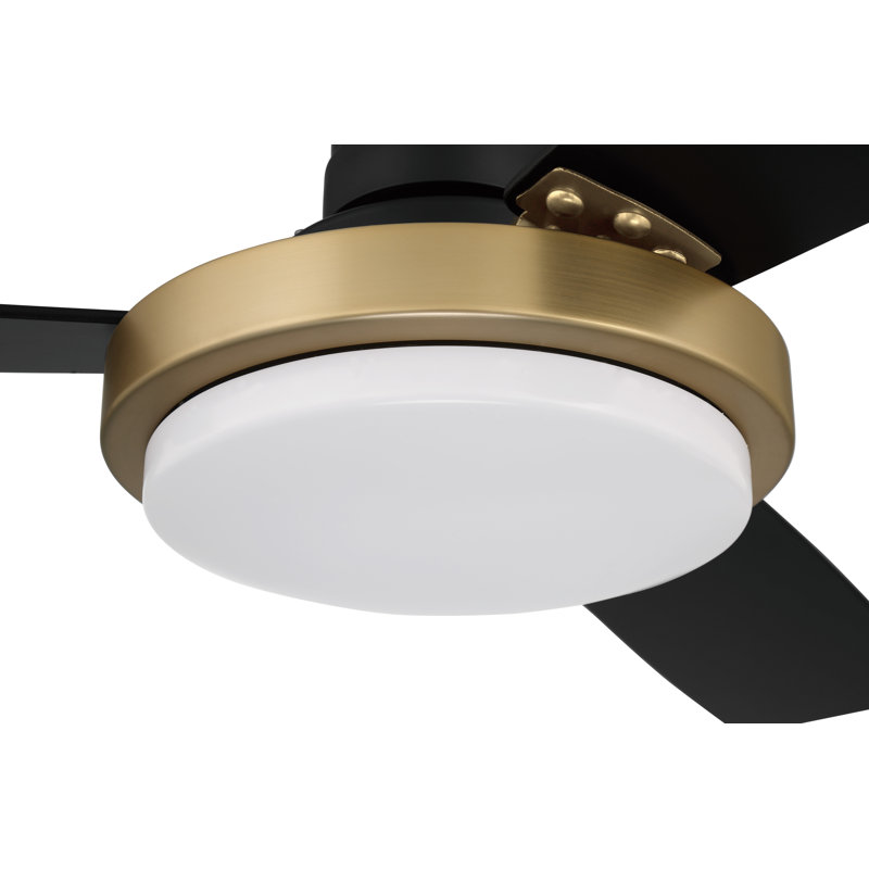 Medeea 52'' Ceiling Fan with LED Lights, Flat Black/Satin Brass