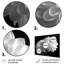 Monochromes blanc noir, «Mums Botanical Beauty I», ensemble de reproductions d'art mural-1593514044