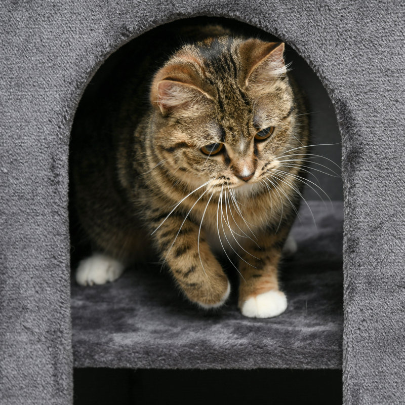 Scratching Post