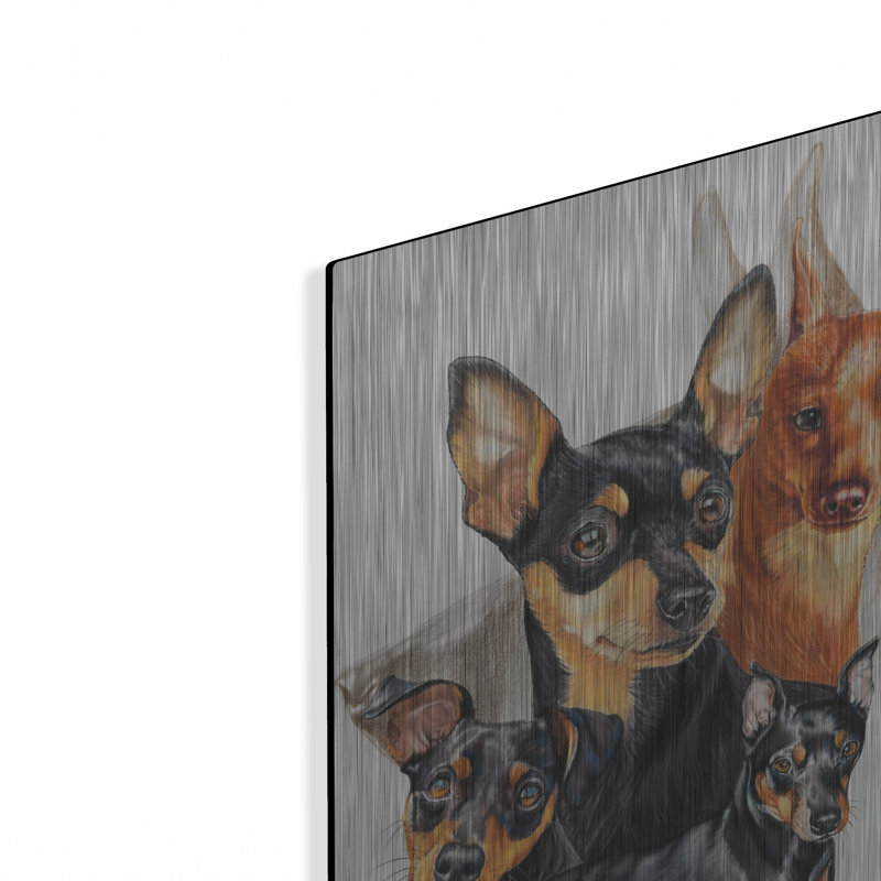 «Miniature Pinscher Medley» par Barbara Keith, H 16 po x l 12 po