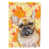Bouledogue français blond
