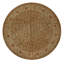 Wool Oriental Area Rug