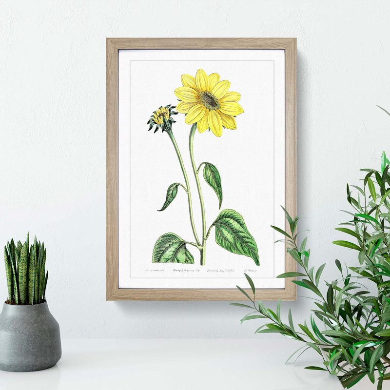 Trumpet Stalked Sunflowers - Framed Print, 48cm H x 36cm W x 2cm D, Oak Framed